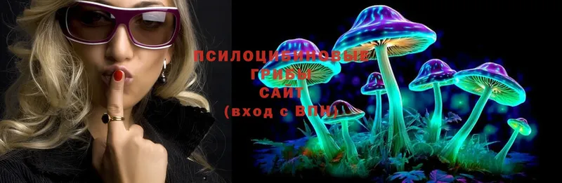 купить  цена  блэк спрут зеркало  Псилоцибиновые грибы Psilocybine cubensis  Красноярск 